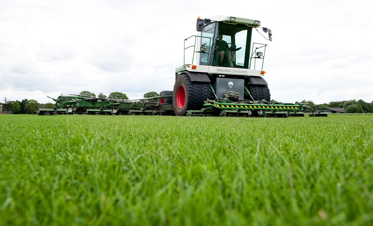 Graszaad Hendriks Graszoden 15 Kg - Afbeelding 2