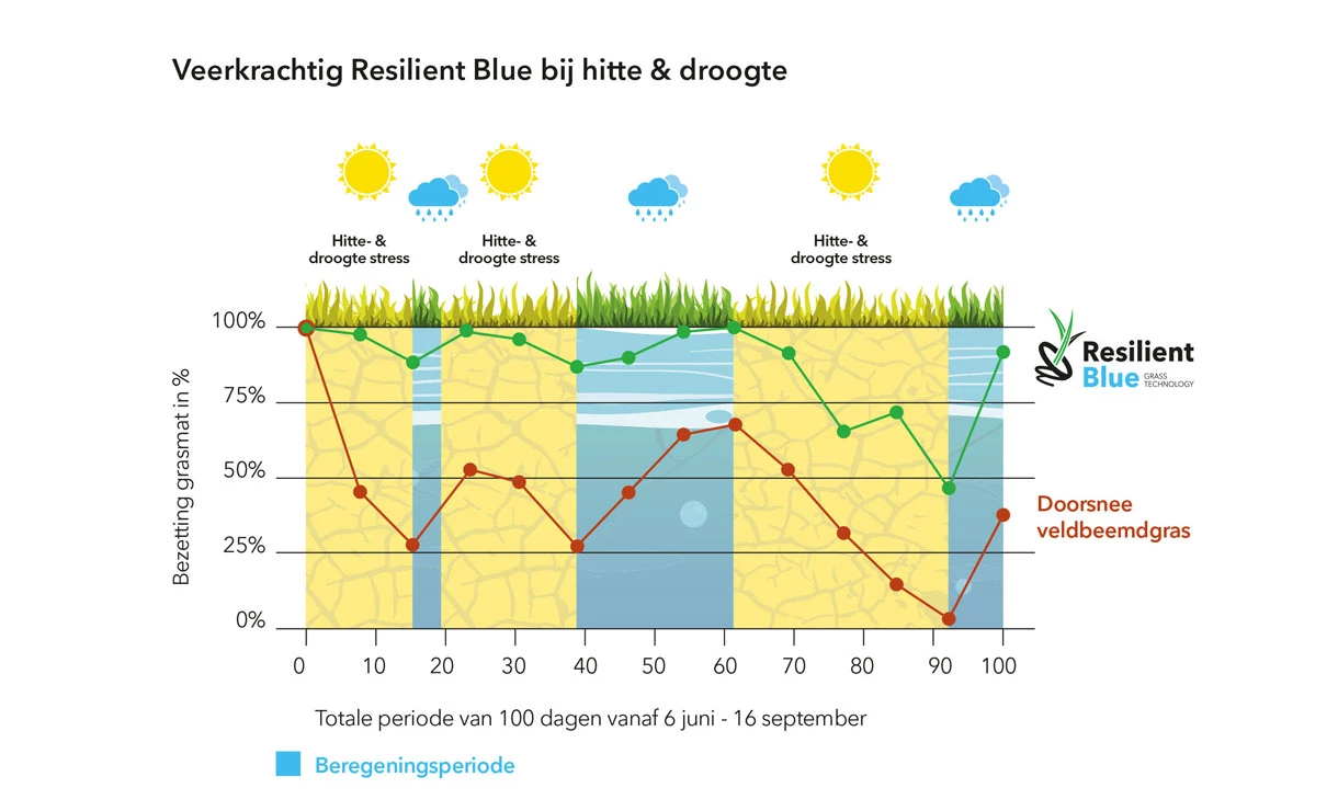 Barenbrug Resilient Blue Lawn 1 Kg - Afbeelding 3