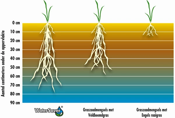 Barenbrug Water Saver 1 Kg - Afbeelding 3