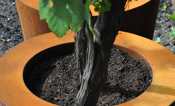 Plantenbak Cortenstaal Conic 80x100 Cm Adezz - Afbeelding 2