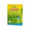 AZstyle Graszaad Inzaai 1 Kg