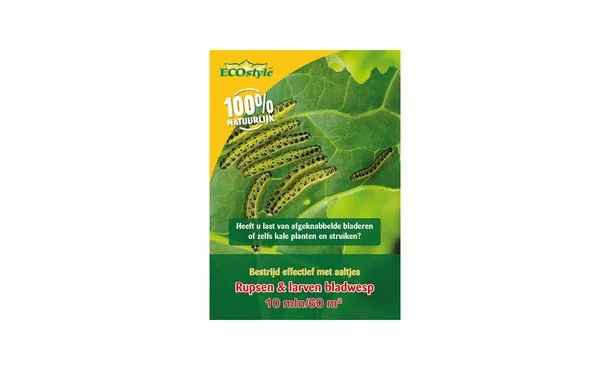 Aaltjes Rupsen & Bladwespen 60 M²