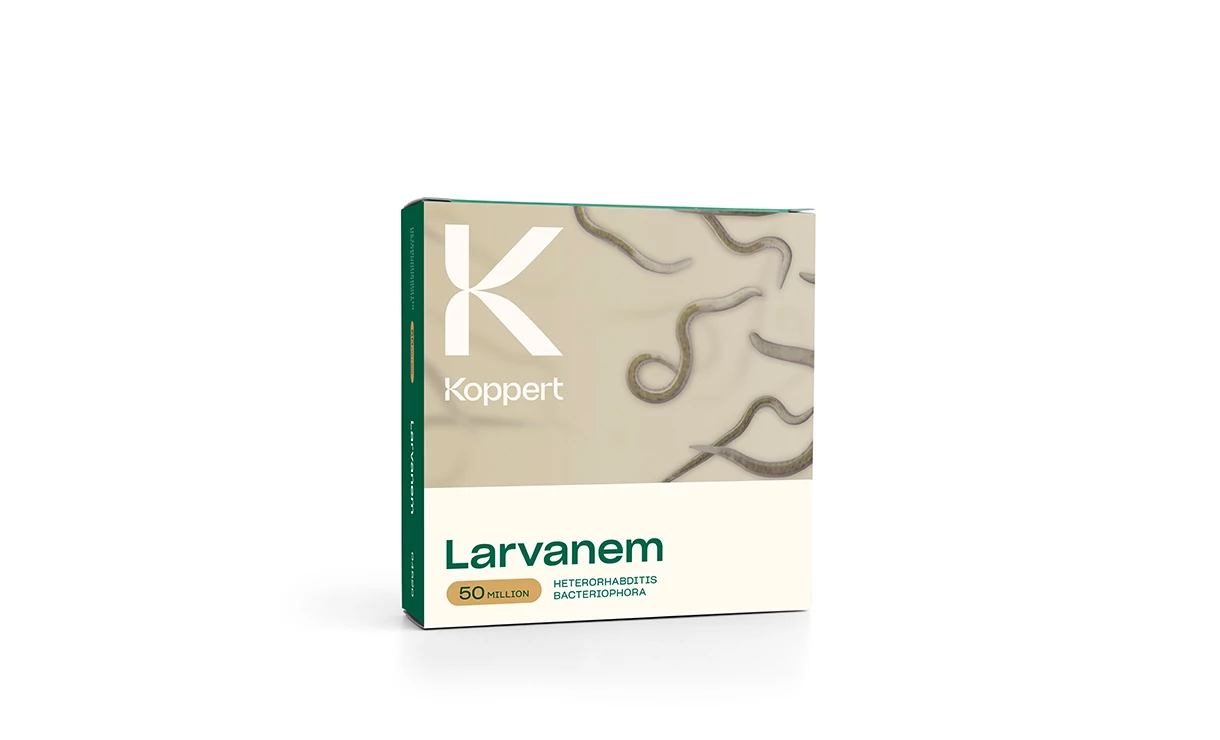 Larvanem Engerlingen 100 M²