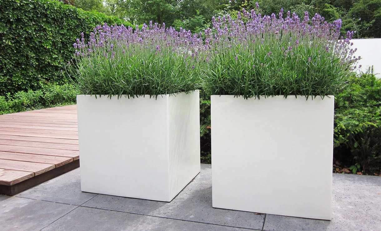 Polyester Plantenbak 40x40x80 Cm Adezz - Afbeelding 5